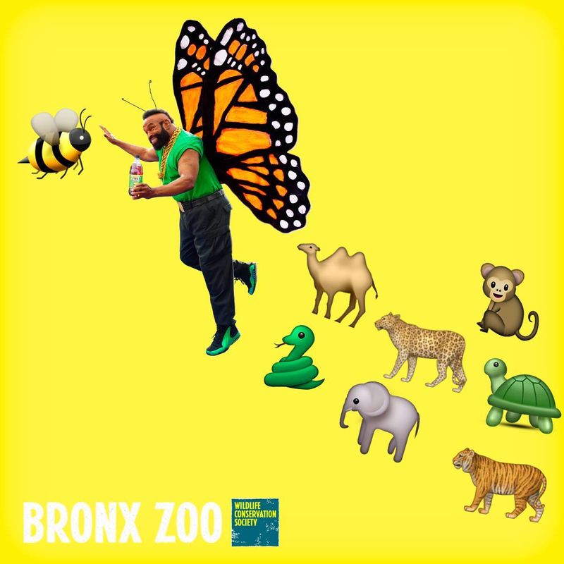 Yellow graphic of a man with butterfly wings and a trail of animal emoji, with Bronx Zoo and Wildlife Conservation Society logos
